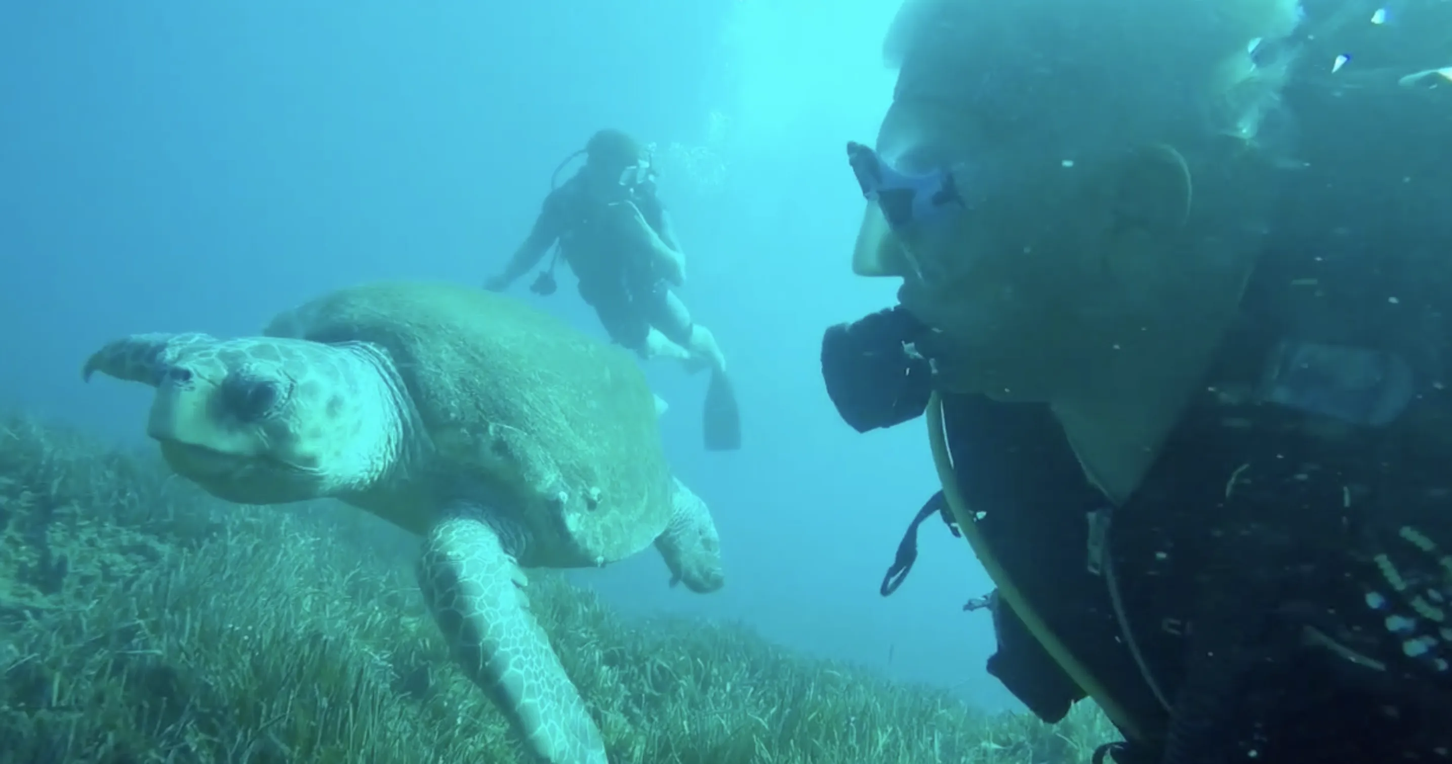 Alanya Scuba Diving - Image 5