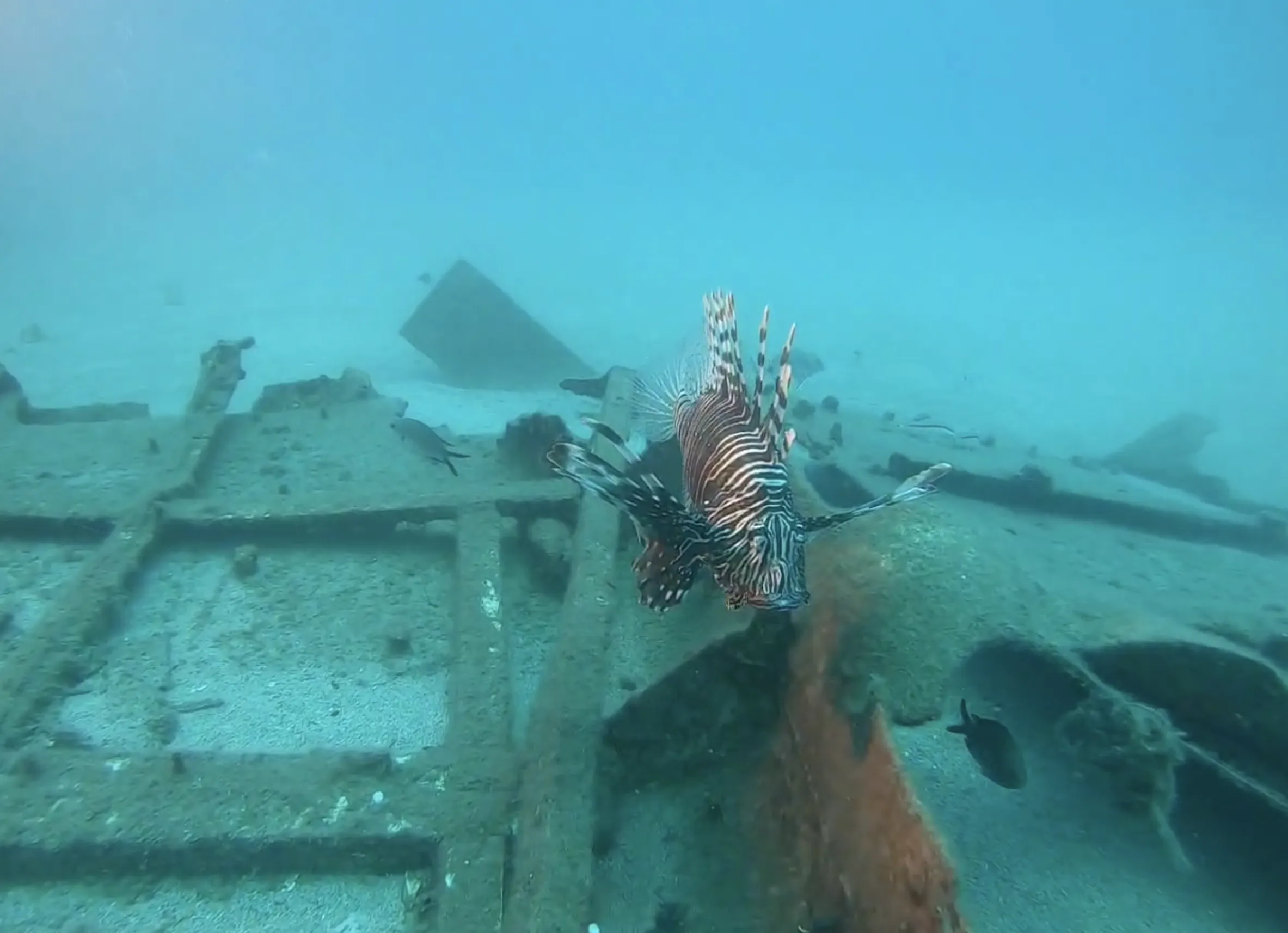 Alanya Scuba Diving - Image 3