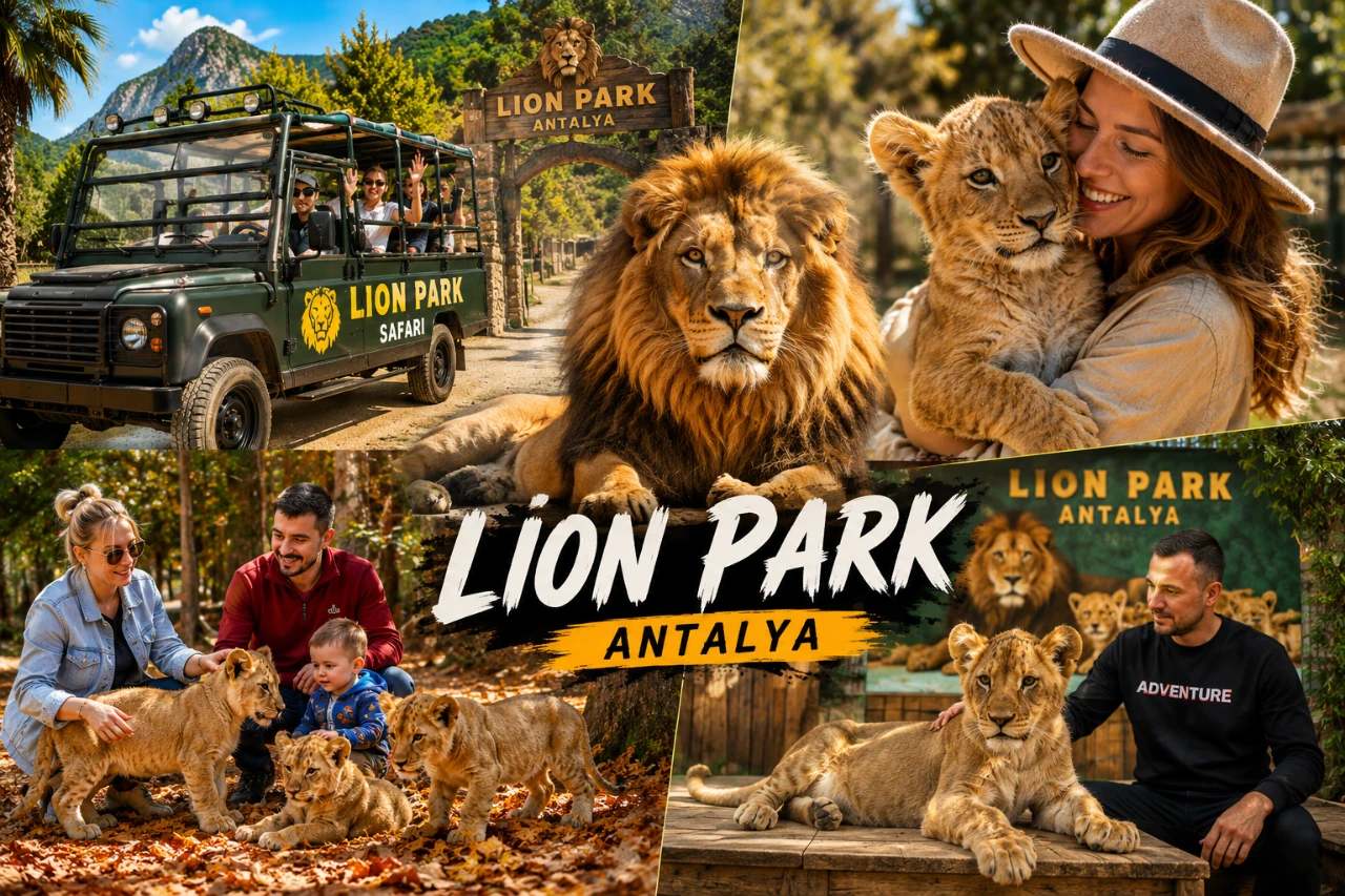 Zoo & Lion Park Tour - Image 1